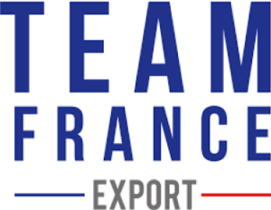 Logo Team France Export